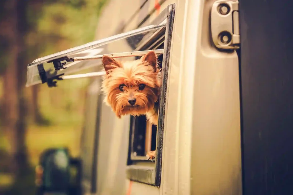 Pet-Friendly RV Camping Near Omaha: Tips for a Comfortable Stay