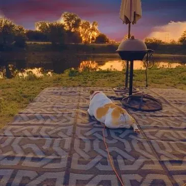 Dog resting on a patterned outdoor mat beside the lake at sunset
